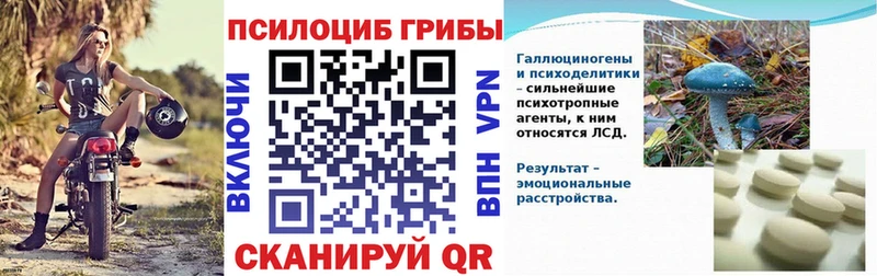 купить закладку  Анадырь  нарко площадка клад  Псилоцибиновые грибы Magic Shrooms 